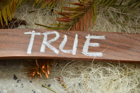True wordの写真素材