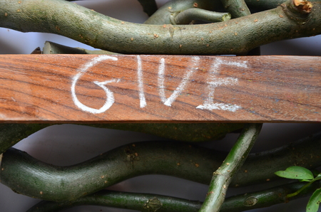 give wordの写真素材