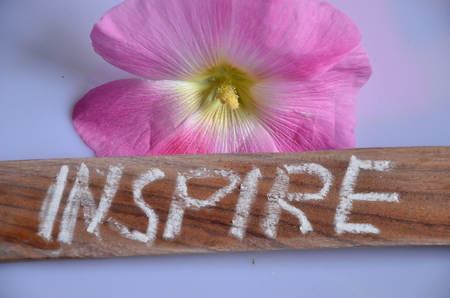 word inspireの写真素材