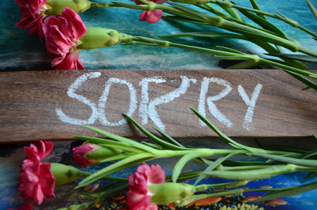 sorry wordの写真素材