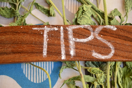 WORD TIPSの写真素材