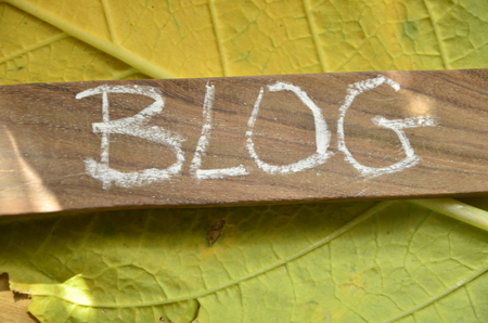 word blogの写真素材