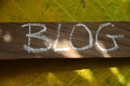 word blogの写真素材