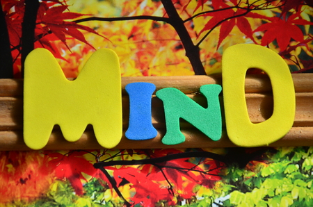Word Mindの写真素材