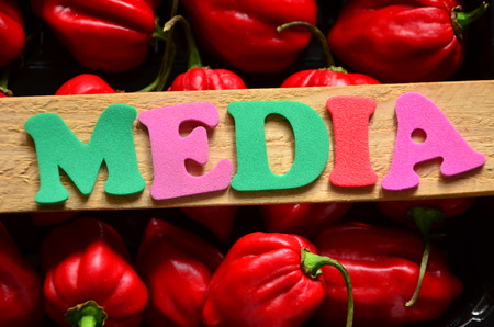 WORD MEDIAの写真素材