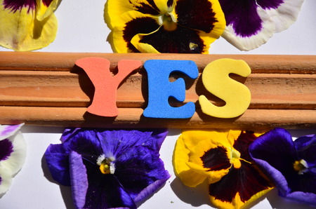 WORD YESの写真素材