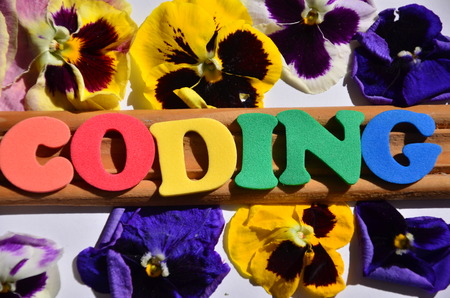 word codingの写真素材