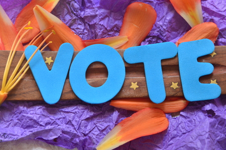 word voteの写真素材