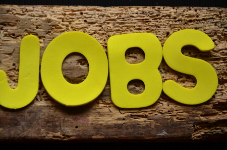 word jobsの写真素材