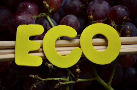 eco wordの写真素材