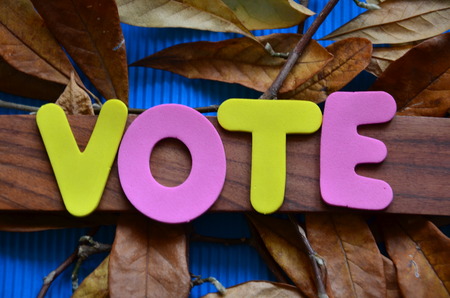 word voteの写真素材