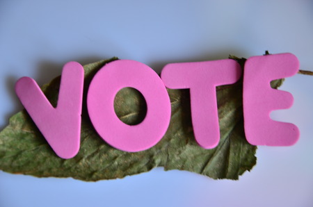 word voteの写真素材