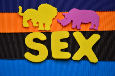 word sex on an abstract backgroundの写真素材