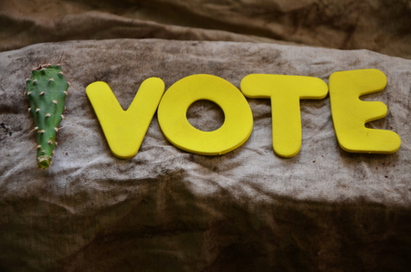 word vote on an abstract backgroundの写真素材