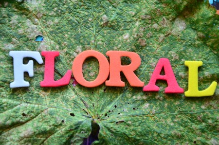 word floral on an abstract backgroundの写真素材