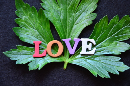 word love on an abstract backgroundの写真素材