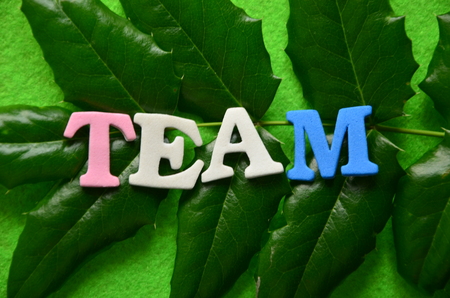 word team on an abstract green backgroundの写真素材