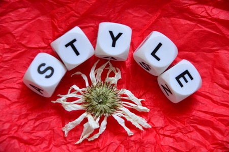 STYLE WORD on an abstract red background