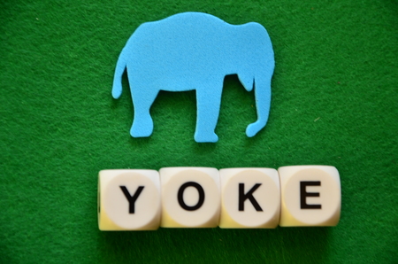 word yoke on an abstract green backgroundの写真素材