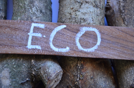 word eco on an abstract backgroundの写真素材