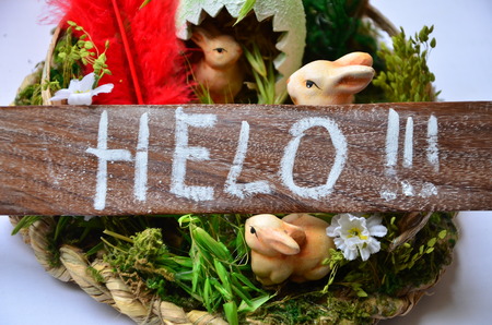 word helo on an abstract background