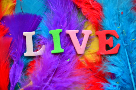 Word live on an abstract backgroundの写真素材