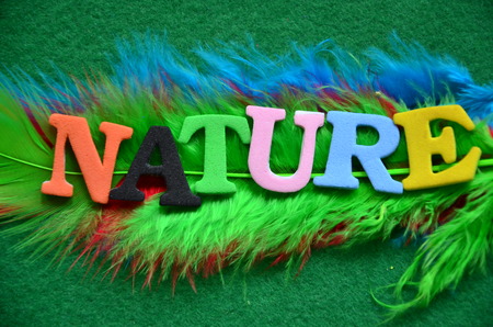 word nature on an abstract backgroundの写真素材