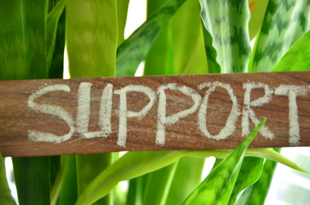 word support on an abstract backgroundの写真素材