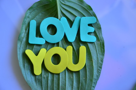 word love you on an abstractb backgroundの写真素材