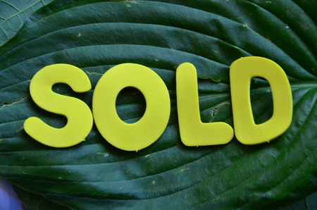 word sold on an abstract backgroundの写真素材