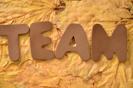 Word team on an abstract backgroundの写真素材