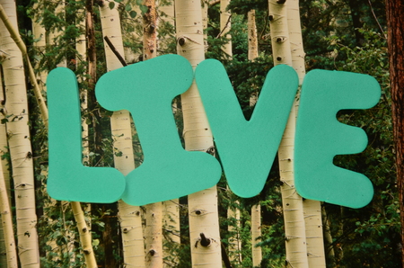 Word live on an abstract backgroundの写真素材