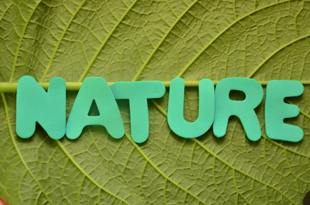 word nature on an abstract backgroundの写真素材
