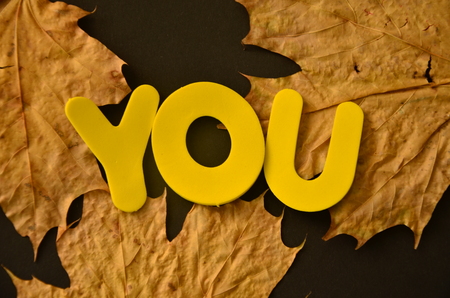 Word you on an abstract backgroundの写真素材