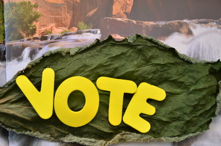 word vote on an abstract backgroundの写真素材