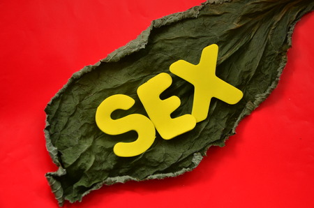 word sex on a dry green leaf and on red backgroundの写真素材