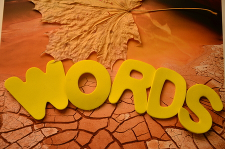 Word words on an abstract backgroundの写真素材