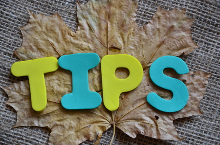 word tips on a dry maple leafの写真素材