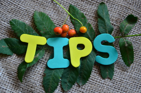 word tips on the green leaf backgroundの写真素材