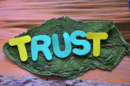 word trust on a dried green leaf and wood background