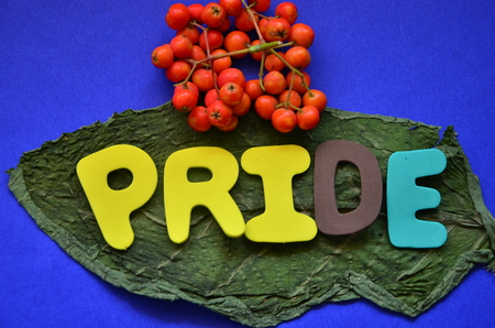 word pride on an abstract backgroundの写真素材