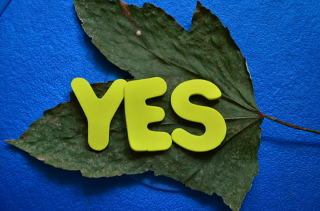 word yesの写真素材