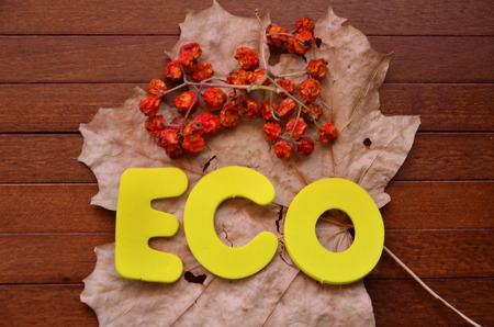 word eco with brown background.の写真素材