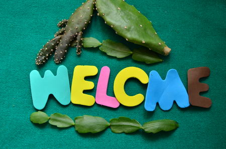 word welcomeの写真素材