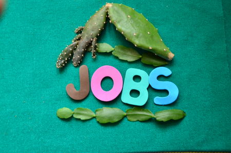 word jobsの写真素材