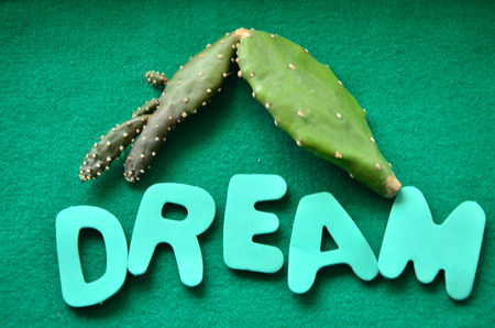 word dreamの写真素材