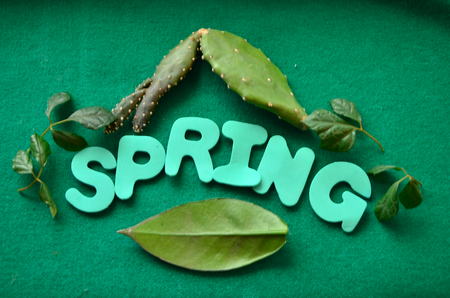 word springの写真素材