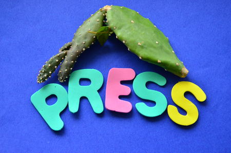 word pressの写真素材