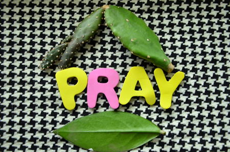 word prayの写真素材
