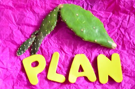 word planの写真素材
